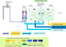 Load image into Gallery viewer, Alkaline Water Ionizer - 5 plate w/ 8" full touch screen and built-in NSF filter +2pc extra filter